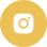 InstagramIcon